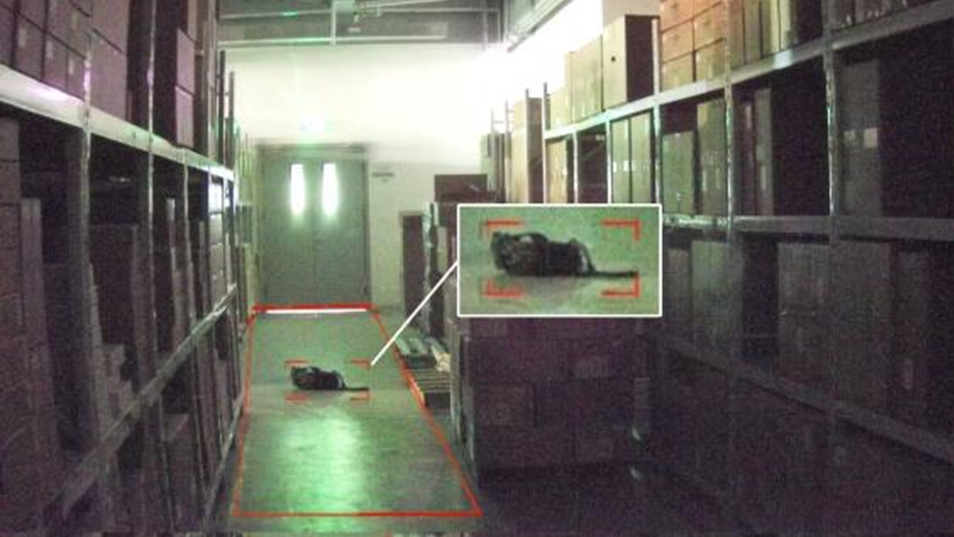 尊龙凯时人生就是搏·(中国区)官方网站