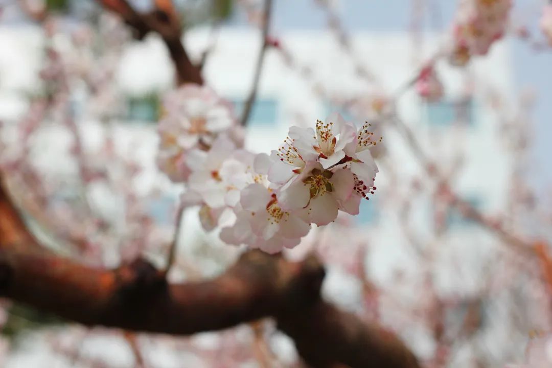 尊龙凯时人生就是搏·(中国区)官方网站