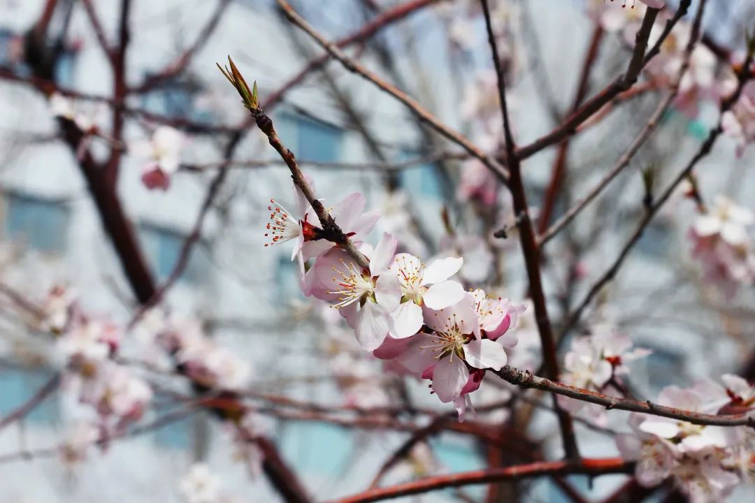 尊龙凯时人生就是搏·(中国区)官方网站