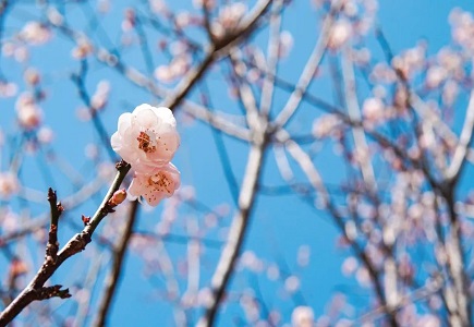 尊龙凯时人生就是搏·(中国区)官方网站